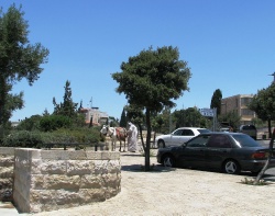 ��������� � ����������